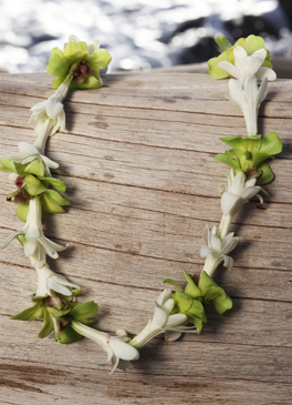 tuberose green orchid lei